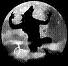 blackkitty1's Avatar