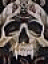 Loki's Avatar
