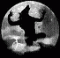 blackkitty1's Avatar
